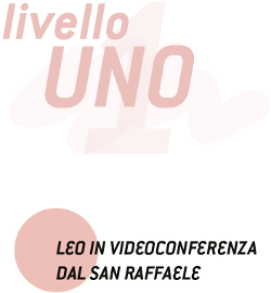 Videoconferenza